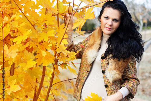 Photo: Portrait of beautiful pregnant woman walking in autumn park Portrait of beautiful pregnant woman walking in autumn park