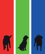 colourful dog banners