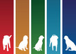 colourful dog banners