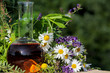 Foto: Homöopathie mit Kräutern Homöopathie mit Kräutern