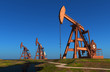 Oil