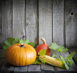Autumn pumpkins and corn vintage still life