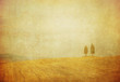vintage tuscan landscape