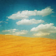 vintage tuscan landscape