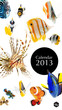 2013 calendar, sea marine life concept, cover page