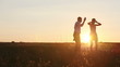 Young couple silhouettes dancing on the field at sunset