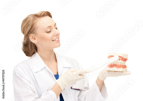Photo: attractive female doctor with toothbrush and jaws attractive female doctor with toothbrush and jaws