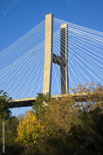 Photo: Talmadge Memorial Bridge Talmadge Memorial Bridge
