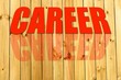 Career
