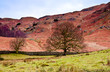 Loughrigg Fell