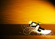 Kite and wakeboard bacground