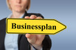 Businessplan
