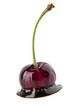 Foto: cherry in a chocolate cherry in a chocolate