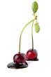 Foto: cherry in a chocolate cherry in a chocolate