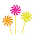 Bunte Lollys