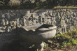 Fontana Farnesiana