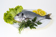 Fisch Dorade küchenfertig