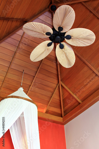 asian ceiling fan