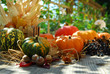 Herbstgemüse