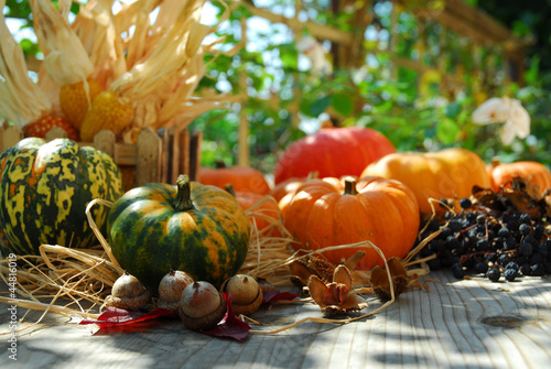 Photo: Herbstgemüse Herbstgemüse