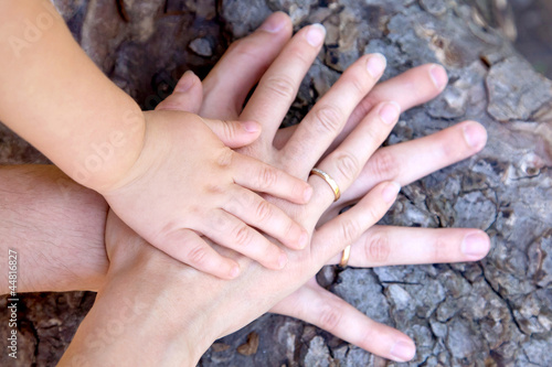Photo: Three hands of family on tree bark - baby, mother and father Three hands of family on tree bark - baby, mother and father