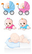Vector: Babies Vectors Babies Vectors