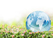 Globe with a field of cheerful  flowers