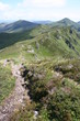 Cantal
