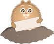 Groundhog Day