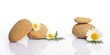 set of flowers on stone