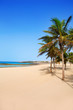 Arrecife Lanzarote Playa Reducto beach palm trees