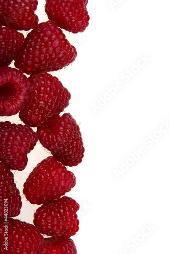 Photo: Raspberry background Raspberry background