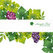 grape background