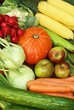 Foto: Bio - Obst und Gemüse Bio - Obst und Gemüse