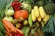 Foto: Bio - Obst und Gemüse Bio - Obst und Gemüse