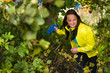 Disc in bush
