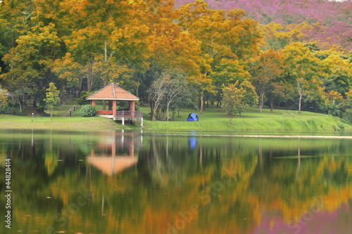 Photo: Pavillion in the autumn park Pavillion in the autumn park