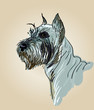 Vector dog