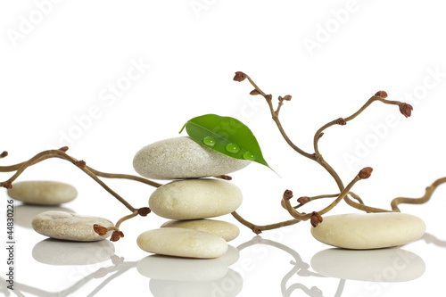 Photo: Spa stones. Spa stones.
