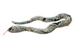 Toy Snake