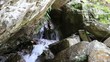 Stream