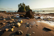 Ocean coast