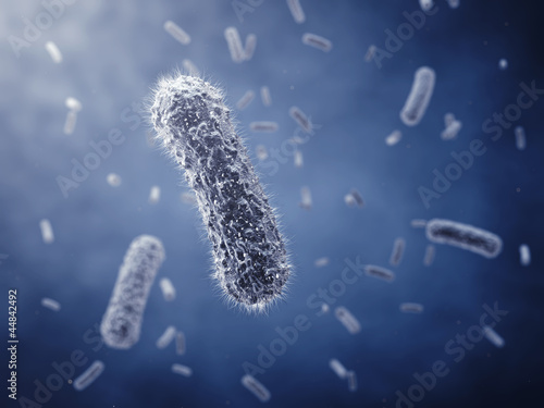 Illustration: Rod-shaped bacteria ,detailed illustration Rod-shaped bacteria ,detailed illustration