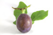 plum and green leaves