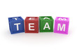 Toy Block with Team Word