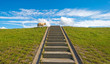 Sheep on a stairway in summer