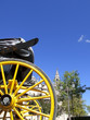 Old-fashioned carriage near cathedral, Seville, Spain