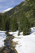 Distant view of couple crossing stream in snowy woods
