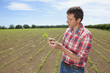 Farmer examining corn seedling in field