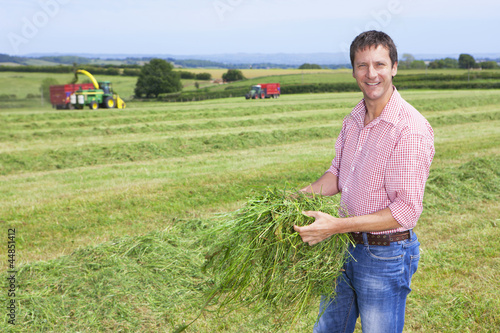 Photo: Portrait of smiling farmer holding green hay in field with tractors Portrait of smiling farmer holding green hay in field with tractors